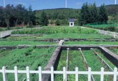 拼搏在线(中国)唯一官方网站